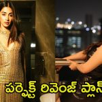 Pooja Hegde: శ్రీలీల చేతిలోని అవకాశాన్ని లాగేసుకున్న పూజా హెగ్డే.. ఇది కదా రివెంజ్ అంటే!