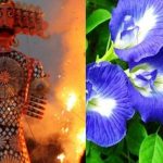 Vijayadashami 2024: దసరా నాడు ఈ సులభమైన పరిహారాలు పాటిస్తే ఇంట్లో ఆనందం, శ్రేయస్సు నిలిచి ఉంటాయి