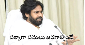 Online App Fraud : ఏలూరులో 200 మందికి కుచ్చుటోపీ పెట్టిన అమెరికా యాప్