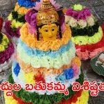 Saddula Bathukamma 2024: సంస్కృతి, సాంప్రదాయాలకు ప్రతీక సద్దుల బతుకమ్మ.. విశిష్టత తెలుసా ?