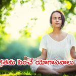 Yoga For Concentration: మీ ఏకాగ్రతను పెంచే యోగాసనాలు ఇవే !