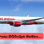 Air India Flight : గాల్లో ఉండగానే దిల్లీ చికాగో విమానానికి బాంబు బెదిరింపు.. ఆ తర్వాత ఏం జరిగిదంటే ?