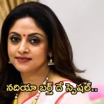Actor Nadhiya :  బర్త్ డే స్పెషల్.. నదియా సినీ ప్రస్థానం.. అన్ని హిట్ సినిమాలే..
