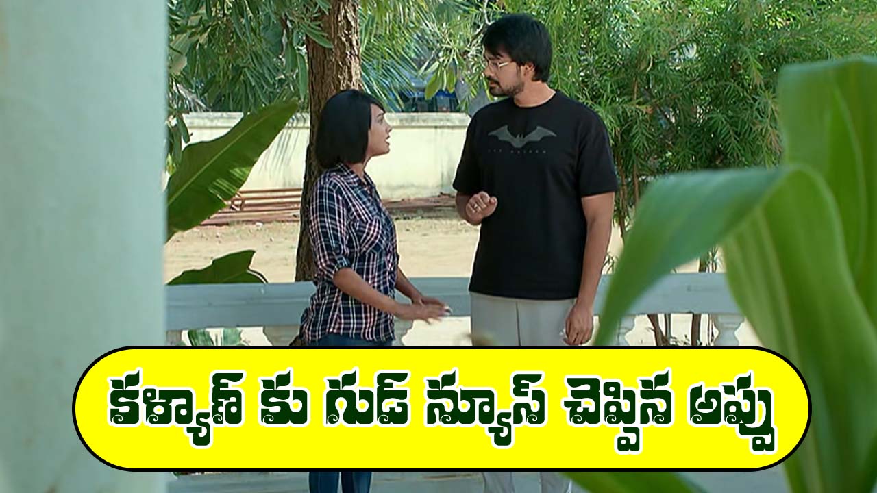 Brahmamudi Serial Today November 14th: ‘బ్రహ్మముడి’ సీరియల్:   కళ్యాణ్‌కు గుడ్‌ న్యూస్‌ చెప్పిన అప్పు- కనకం ఓవరాక్షన్‌ తట్టుకోలేకపోయిన కావ్య