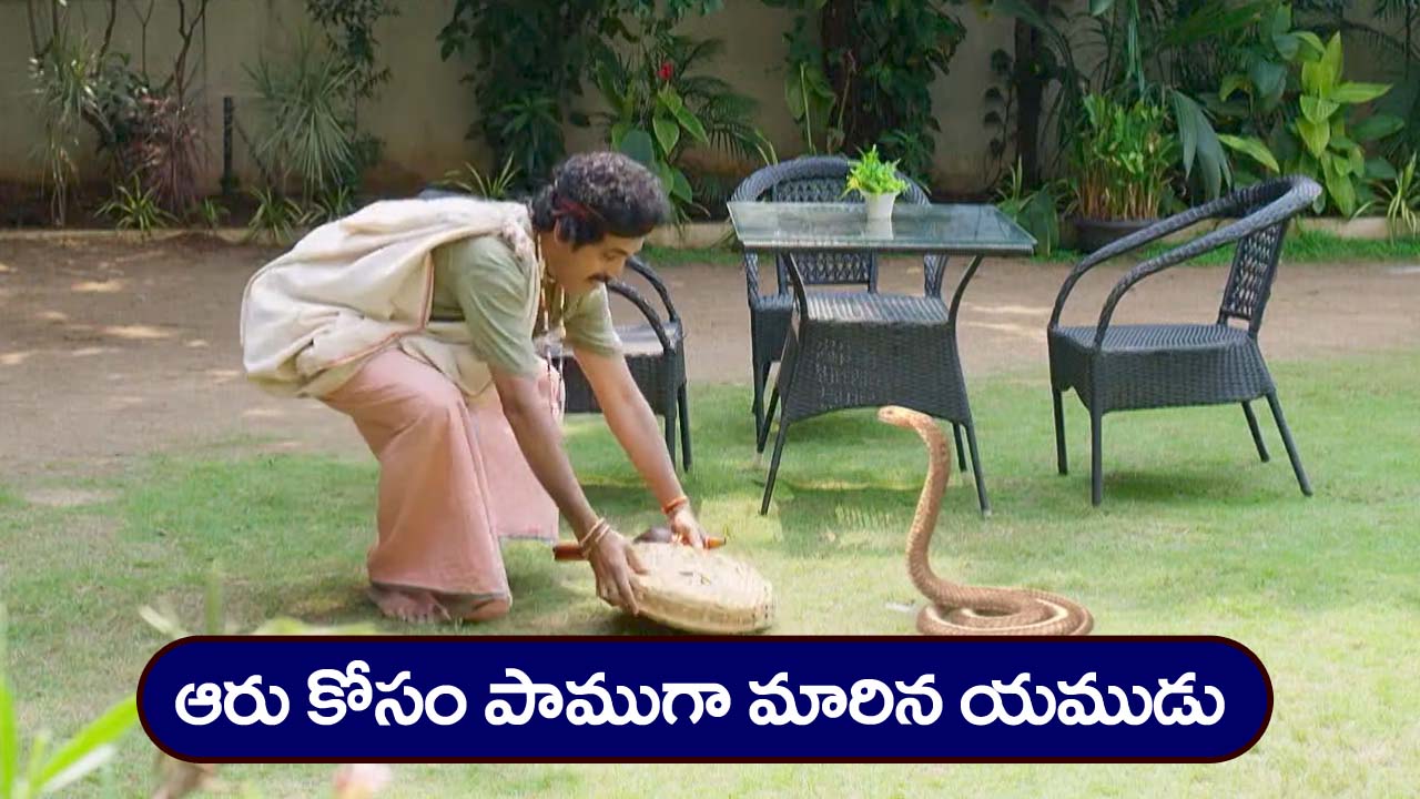 Nindu Noorella Saavasam Serial Today November 20th: ‘నిండు నూరేళ్ల సావాసం’ సీరియల్‌ :  మనోహరికి మిస్సమ్మ వార్నింగ్‌  –  ఆరు స్పర్శను తెలుసుకున్న అమర్‌
