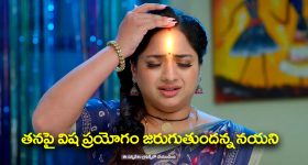 Trinayani Serial Today November 4th: ‘త్రినయని’ సీరియల్‌:  తనపై విష ప్రయోగం జరుగుతుందన్న నయని – నయనికి పిచ్చి ముదిరిందన్న తిలొత్తమ్మ