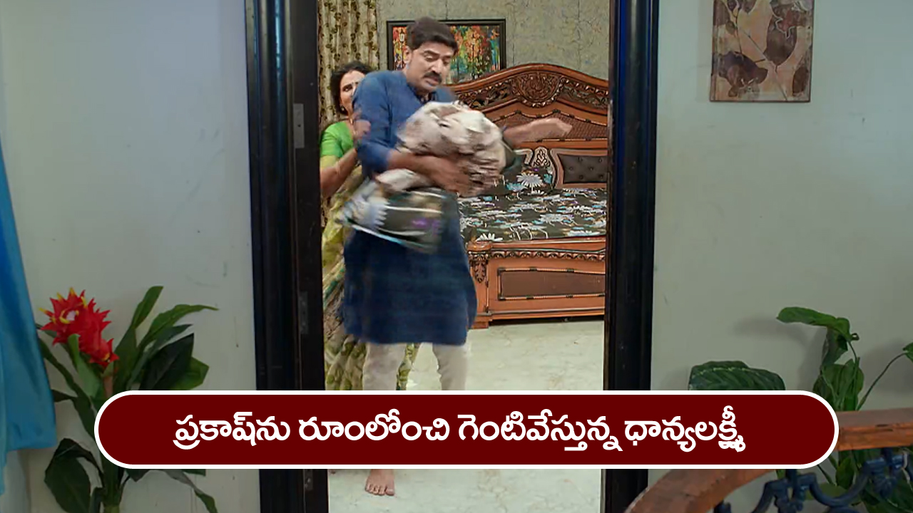 Brahmamudi Serial Today November 26th: ‘బ్రహ్మముడి’ సీరియల్:  రుద్రాణికి వార్నింగ్‌ ఇచ్చిన పనిమనిషి శాంత – ప్రకాష్‌ను గెంటివేసిన ధాన్యలక్ష్మీ