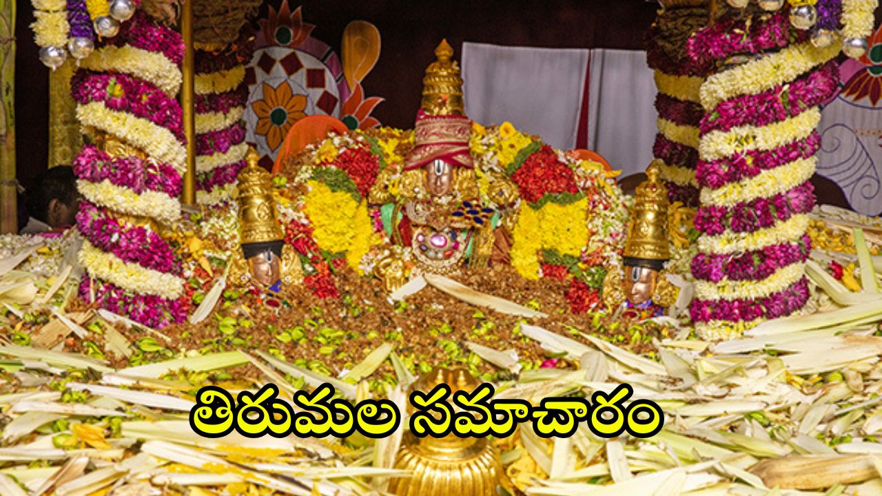 Tirumala Updates: తిరుమల వెళ్తున్నారా.. అయితే ఈ సమాచారం మీకోసమే!