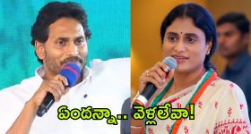 Sharmila vs Jagan: అంత ధైర్యం లేకుంటే రాజీనామా చెయ్ జగనన్నా.. షర్మిళ కౌంటర్