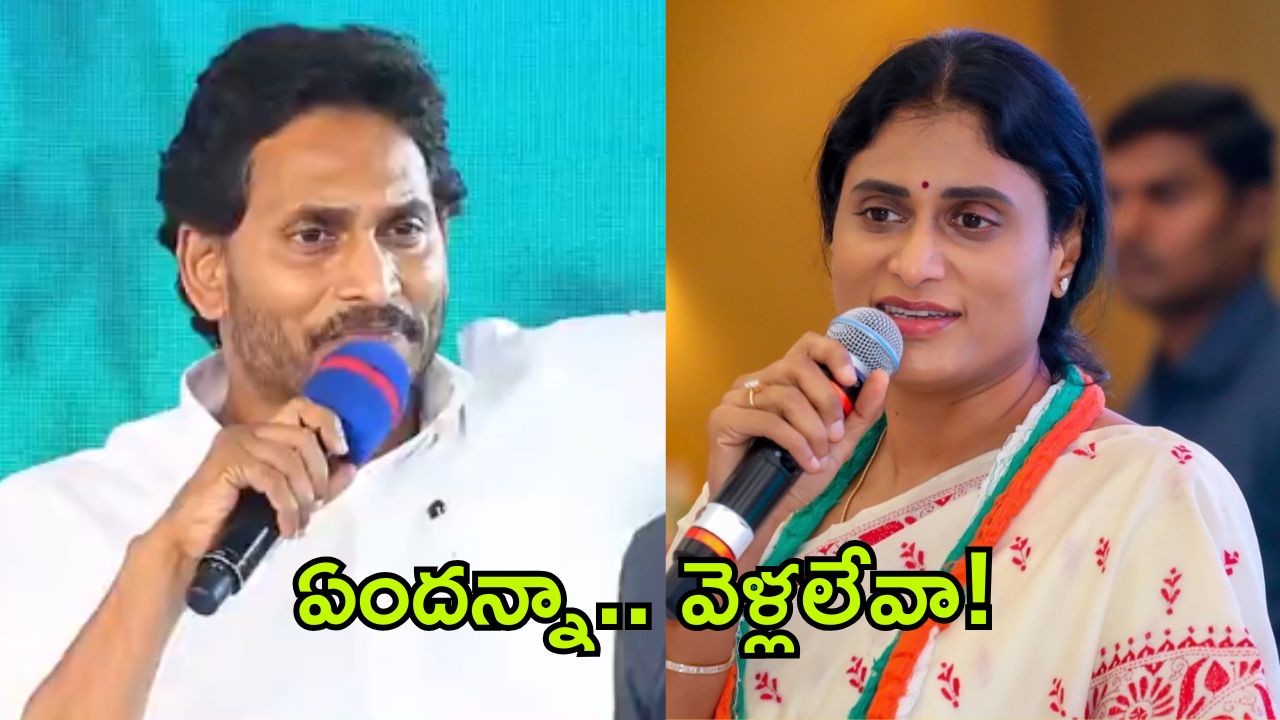 Sharmila vs Jagan: అంత ధైర్యం లేకుంటే రాజీనామా చెయ్ జగనన్నా.. షర్మిళ కౌంటర్