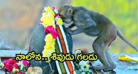 Viral photo: కీసరగుట్టలో అద్భుతం.. భక్తులంతా షాక్.. అసలేం జరిగిందంటే?