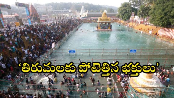 Tirumala Update: కార్తీక పౌర్ణమి ఎఫెక్ట్.. దీపాల వెలుగుల్లో ఆలయాలు.. తిరుమలలో పెరిగిన భక్తుల రద్దీ.. దర్శన సమయం?