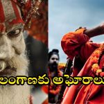 Lady Aghori: కుంభమేళా తర్వాత అఘోరీ ప్లాన్ ఏంటి? అఘోరాల రాక నిజమేనా? తెలంగాణ పైనే కన్నెందుకు?