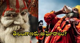 Bear Rolls Royce Insurance: లగ్జరీ కారుపై ఎలుగుబంటి దాడి.. ఇన్షురెన్స్ డబ్బులు ఇవ్వడం కుదరదన్న కంపెనీ.. సిసిటీవిలో..