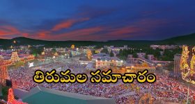 TTD Chairman: శ్రీవారి దర్శనం తాజా అప్ డేట్.. ముందస్తు జాగ్రత్తలు తీసుకోండి.. టీటీడీ చైర్మన్ బీఆర్ నాయుడు