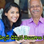 TG Electronic Vehicle policy: ఏడాదికి రూ.లక్ష ఆదా.. ఆ వాహనదారులకు గుడ్ న్యూస్ చెప్పిన తెలంగాణ సర్కార్.. డోంట్ మిస్!