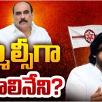 Balineni Srinivasa Reddy: బాలినేనికి ఎమ్మెల్సీ? డిసైడ్ చేసిన పవన్? త్వరలో ఒంగోలులో బహిరంగ సభ?