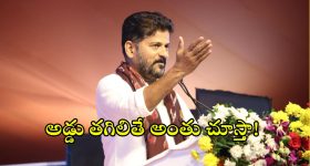 AR Rahman - Saira Banu: సైరా భాను బ్యాక్ గ్రౌండ్ ఏంటి.. అసలు వీరి పెళ్లి ఎలా జరిగిందంటే..?