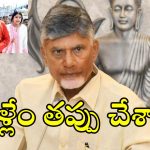 CM Chandrababu : మీవల్లే పవన్ కళ్యాణ్ పిల్లలు బోరున ఏడ్చారు.. మీ సంగతి చూస్తా.. దడపుట్టించే వార్నింగ్