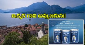 Fresh Air Selling:  గాలితో వ్యాపారం..  మీ ఐడియాకు ఓ దండం గురూ!