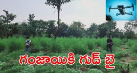 AP Police on Ganja : డ్రోన్లు వస్తాయి.. గంజాయి పట్టిస్తాయి.. వాహ్వా ఏం ఐడియా సార్..