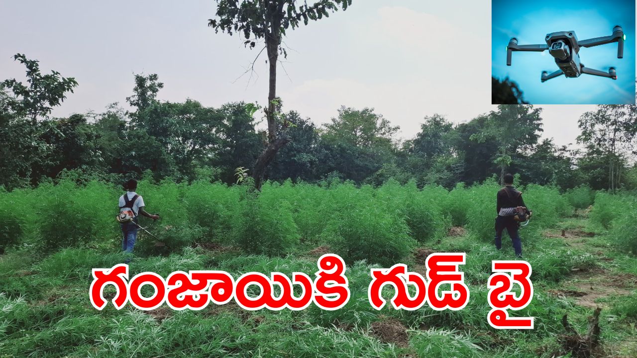 AP Police on Ganja : డ్రోన్లు వస్తాయి.. గంజాయి పట్టిస్తాయి.. వాహ్వా ఏం ఐడియా సార్..