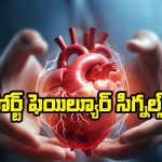 Heart Failure Signs: బెడ్ మీద ఇలాంటి లక్షణాలు కనిపిస్తున్నాయా? అయితే మీ గుండె ప్రమాదంలో ఉన్నట్లే!