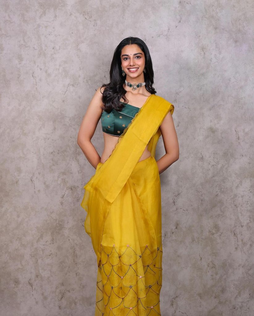 Meenakshi Chaudhary Image Credit/Instagram