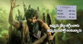 Pushpa : అప్పుడు దేశం మొత్తం ఫైర్ అయిన పుష్ప, ఆంధ్రాలో  ఫ్లవర్ అయింది