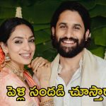 Naga Chaitanya Sobhita: నయనతారను ఫాలో అవ్వనున్న నాగచైతన్య, శోభితా.. ఆ ఓటీటీలో పెళ్లి వీడియో విడుదల
