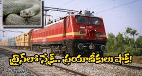 Rahul Gandhi on Adani: అదానీ దేశసంప‌ద కొల్ల‌గొట్టాడు.. ఆయ‌న వెన‌కుంది మోడీనే: రాహుల్ గాంధీ
