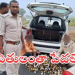 Patna HC on Liquor Policy : మద్య నిషేధ చట్టం పోలీసులకే బాాగా ఉపయోగపడింది – పట్నా హైకోర్టు.. ఎందుకంటే?