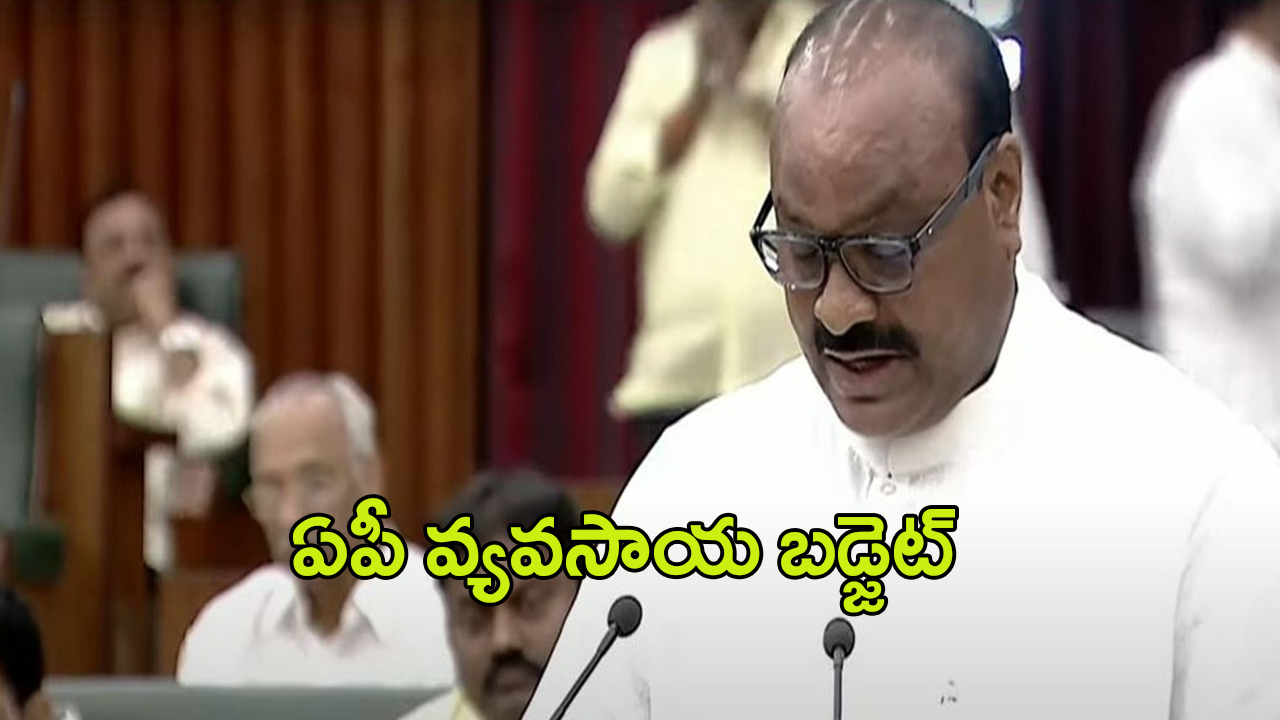 AP Budget 2024-25: రూ.43,402 కోట్లతో వ్యవసాయ బడ్జెట్‌..