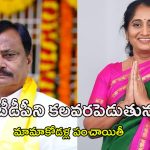 Penukonda Politics: చంద్రబాబుకి తలనొప్పిగా మామా కోడళ్ల పంచాయితీ