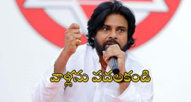 Balineni Srinivas Reddy: విద్యుత్‌ కొనుగోలు ఒప్పందంలో నాప్రమేయం లేదు.. అప్పుడే డౌట్ వ‌చ్చింది.. బాలినేని షాకింగ్ కామెంట్స్