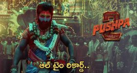 Pushpa 2 Trailer 24 hours: ఆల్ టైం రికార్డ్ సృష్టించిన పుష్ప -2.. ఏ భాషలో ఎన్ని వ్యూస్ అంటే..?
