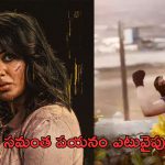 Citadel: కమ్ బ్యాక్ లో ఘోర పరాభవం.. సామ్ పరిస్థితి ఏంటి..?