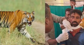 Italy Surrogacy: అద్దె గర్భం విదేశాల్లో చేసినా ఇటలీలో శిక్ష తప్పదు.. కొత్త చట్టం ఆమోదించిన మెలోనీ సర్కార్