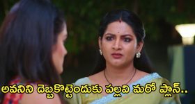 Intinti Ramayanam Today Episode :  అవనికి షాకిచ్చిన అక్షయ్.. హాస్పిటల్ లో తల్లి మాయం.
