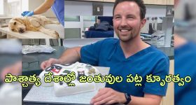 Gundeninda Gudigantalu Today Episode : బాలు, మీనాలను కలపబోతున్న సుశీల.. ఇంటికే వచ్చేసిన పార్వతమ్మ..