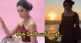 Tollywood Industry : టాలీవుడ్ లోకి కొత్త హీరోయిన్ ఎంట్రీ.. బ్యాగ్రౌండ్ ఏంటో తెలుసా..?