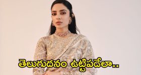 Sobhita Dhulipala Wedding Jewelry: ఏడు వారాల నగలతో పెళ్లి కోసం ముస్తాబవ్వనున్న శోభితా.. దాంతో పాటు మరెన్నో