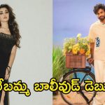 Krithi Shetty: ‘బేబి’ హిందీ రీమేక్‌లో కృతి శెట్టి.. స్టార్ కిడ్‌తో జోడీకి రెడీ