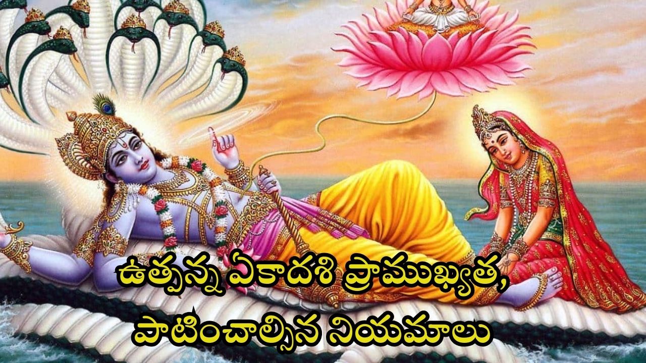 Utpanna Ekadashi 2024: ఉత్పన్న ఏకాదశి రోజు ఇలా చేస్తే.. అన్ని పాపాలు తొలగిపోతాయ్
