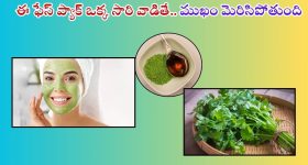 Priyanka Gandhi Oath Taking: మలయాళీ చీర కట్టు.. రాజ్యాంగం చేతబట్టి.. ఎంపీగా ప్రియంకా గాంధీ ప్రమాణ స్వీకారం