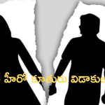 Divorce :మొన్నే పెళ్లి.. అప్పుడే విడాకులు.. హీరోయిన్ ను టార్చర్ చేసిన భర్త..?
