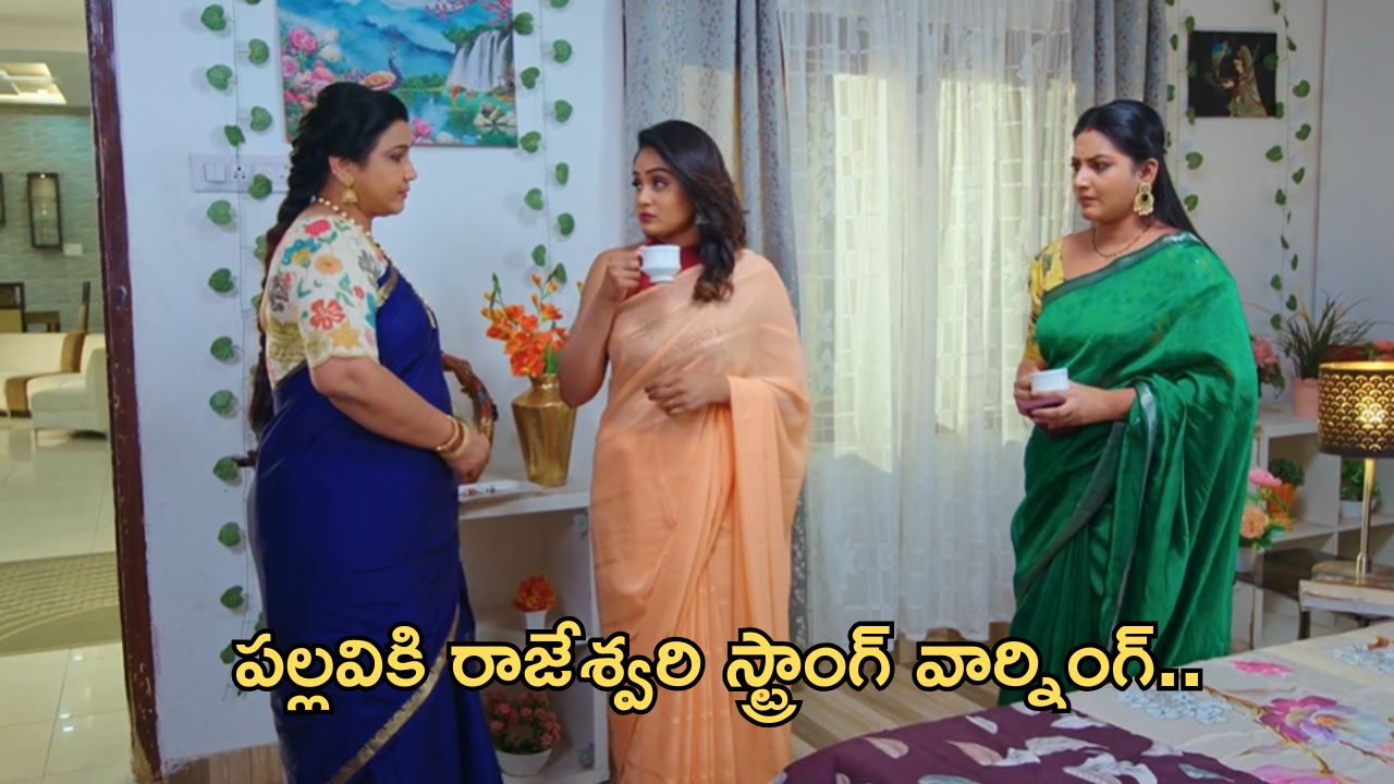Intinti Ramayanam Today Episode :  అవని పై దారుణమైన నింద వేసిన బామ్మ.. పల్లవి ప్లాన్ రాజేశ్వరికి తెలిసిపోతుందా?