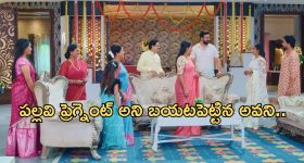 Anilkumar, Jogi ramesh: కేసుల ఒత్తిడి.. ఇబ్బందుల్లో మాజీమంత్రులు, జనసేనతో మంతనాలు?