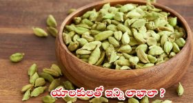 Cardamom Benefits: రాత్రి పడుకునే ముందు యాలకులు తింటే ?