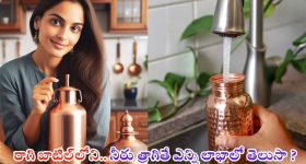 Copper Bottle: రాగి బాటిల్‌లోని  నీళ్లు త్రాగితే ఎన్ని లాభాలో తెలుసా ?